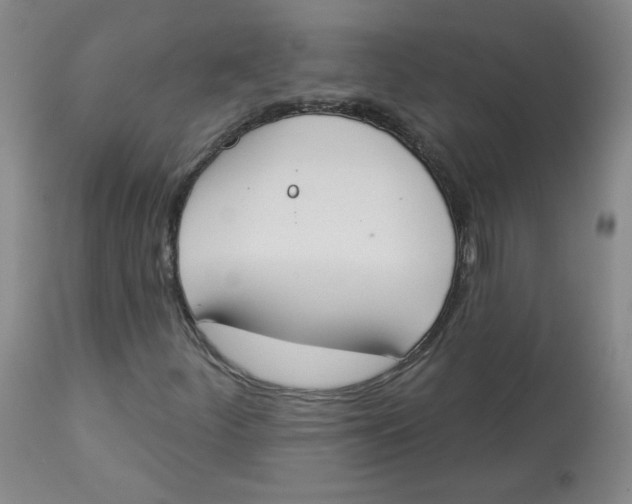 X0000112841252200909111414