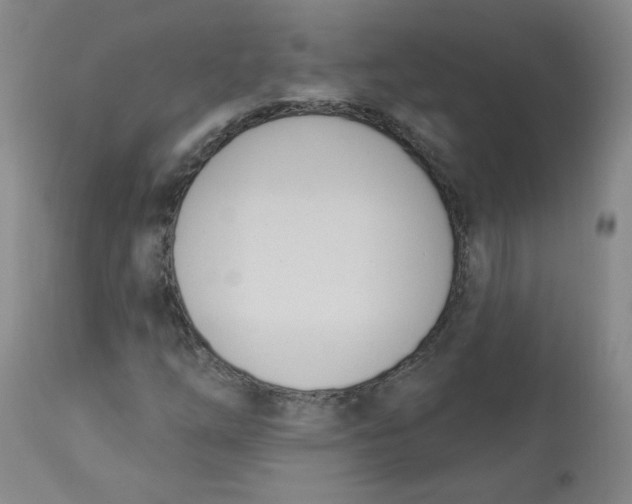 X0000112841254200909111414