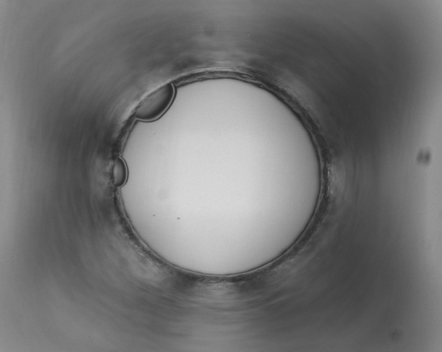 X0000112841260200909111414