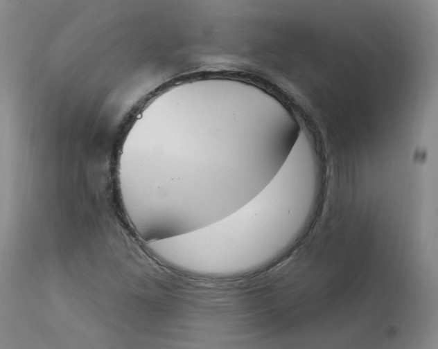 X0000112841261200909111414