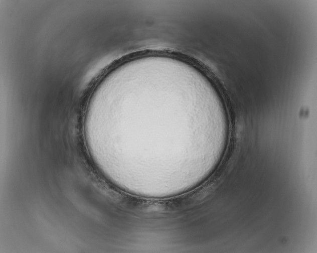 X0000112841263200909111414