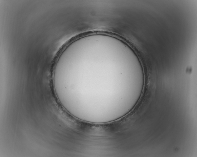 X0000112841264200909111414