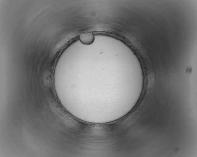 X0000112841266200909111414