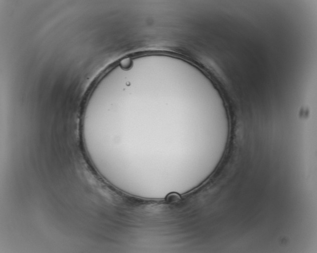 X0000112841268200909111414