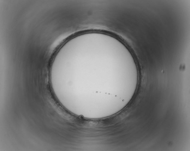 X0000112841271200909111414