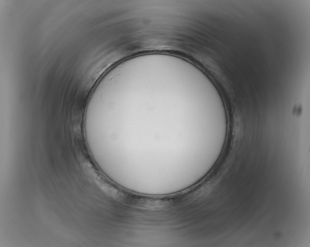 X0000112841273200909111414