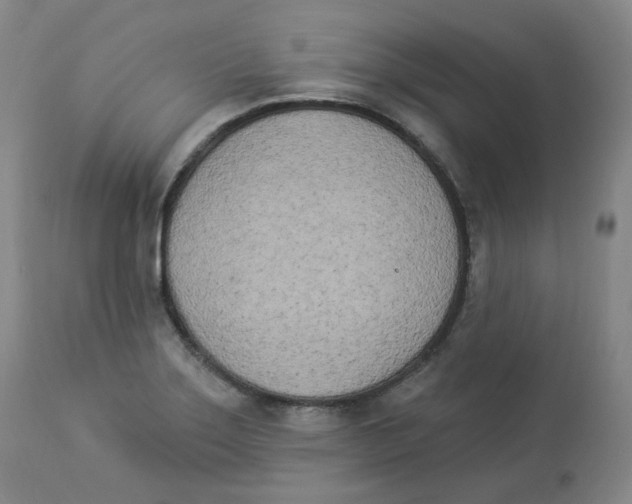 X0000112841275200909111413