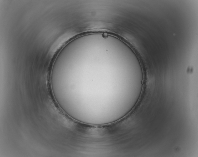 X0000112841277200909111413