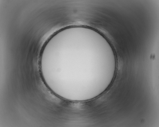 X0000112841278200909111413