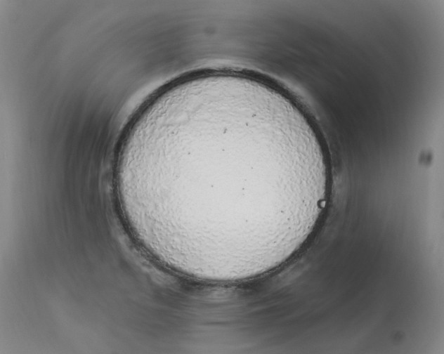 X0000112841279200909111413