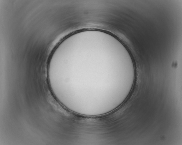 X0000112841280200909111413