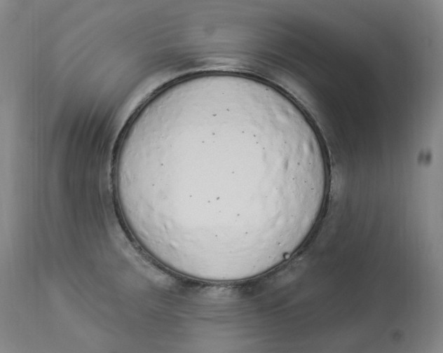 X0000112841283200909111413