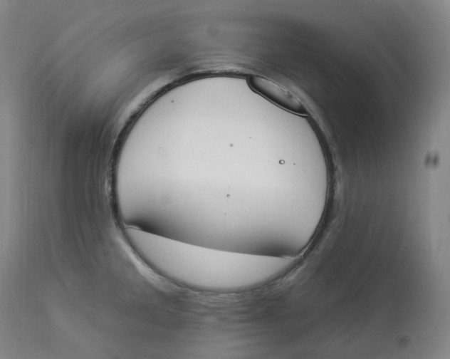 X0000112841285200909111413