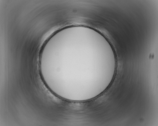 X0000112841286200909111413