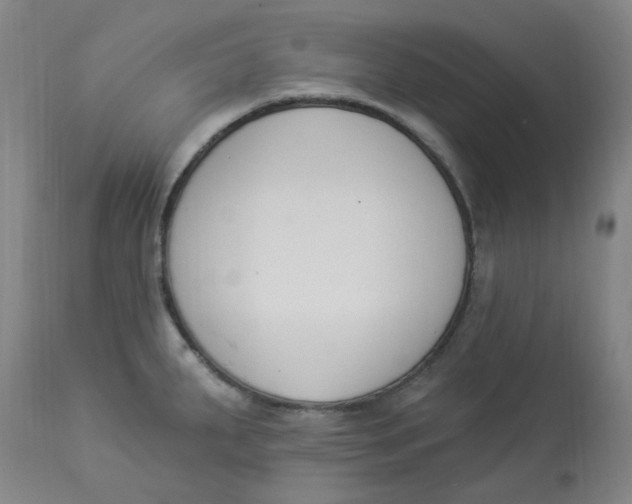 X0000112841287200909111413