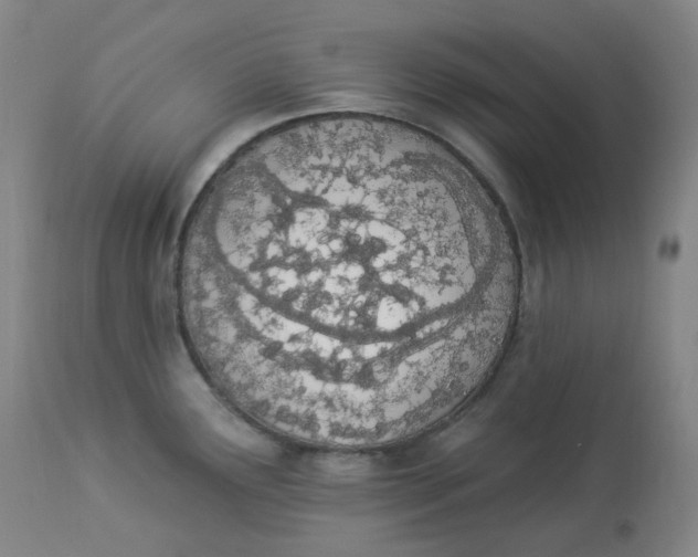 X0000112841291200909111413