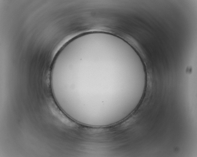 X0000112841292200909111413