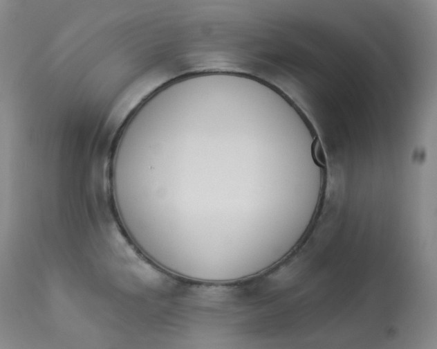 X0000112841293200909111413