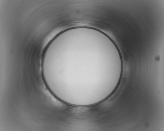 X0000112841294200909111413