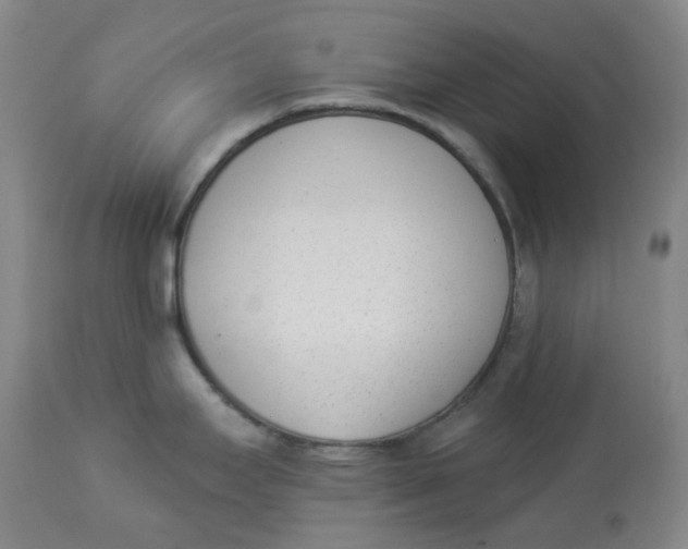 X0000112841295200909111413