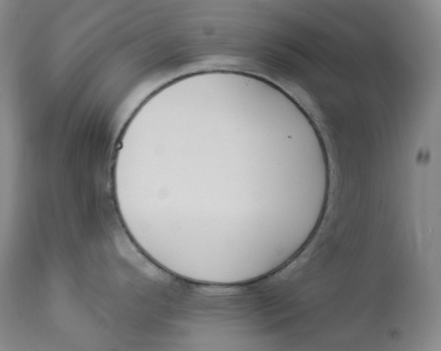 X0000112841296200909111413