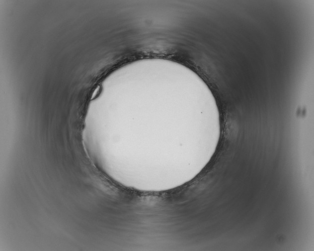 X0000112841297200909111413