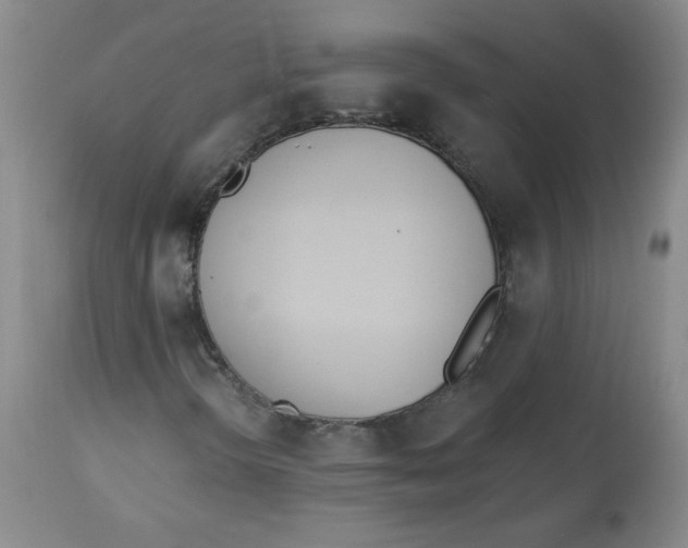 X0000112841298200909111413