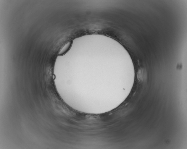 X0000112841299200909111413