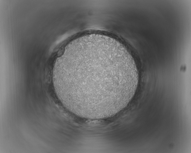 X0000112841303200909111413