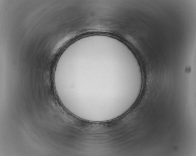 X0000112841307200909111413