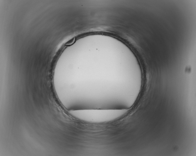 X0000112841308200909111413