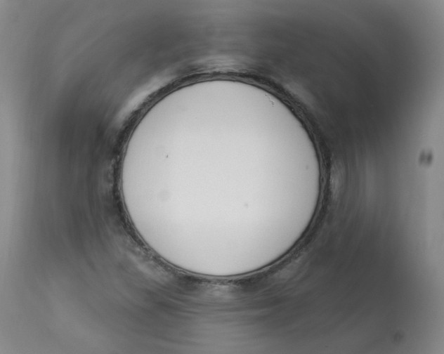 X0000112841309200909111413