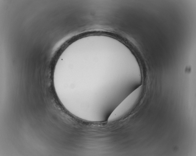 X0000112841310200909111413