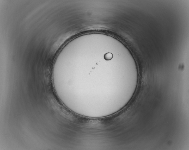 X0000112841313200909111413