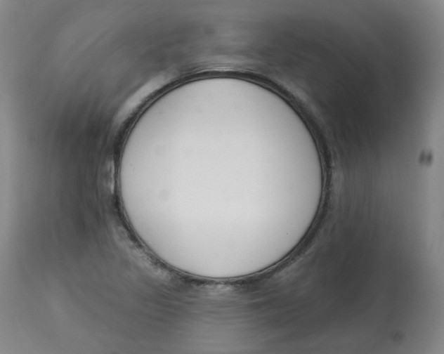 X0000112841317200909111413