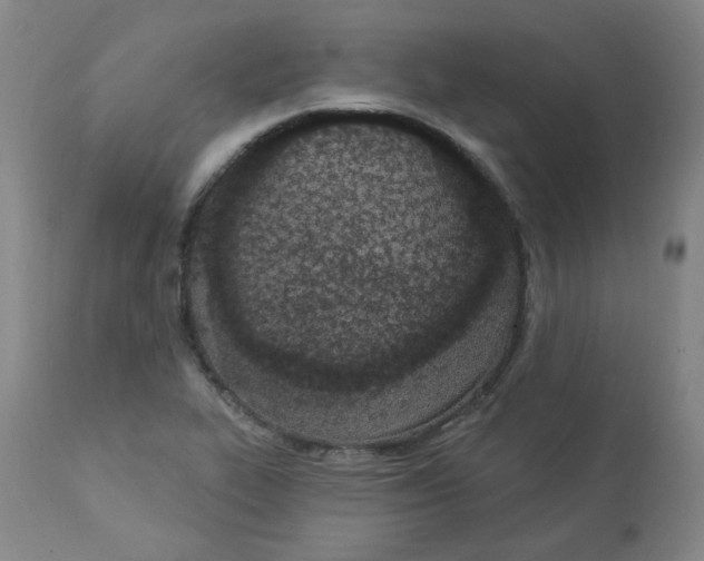 X0000112841319200909111413