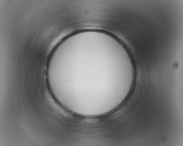 X0000112841325200909111413