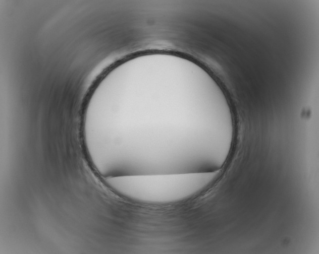 X0000112841326200909111413