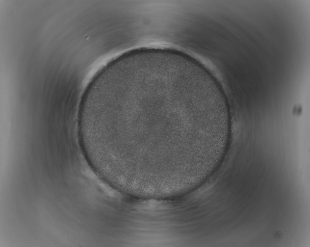 X0000112841327200909111413