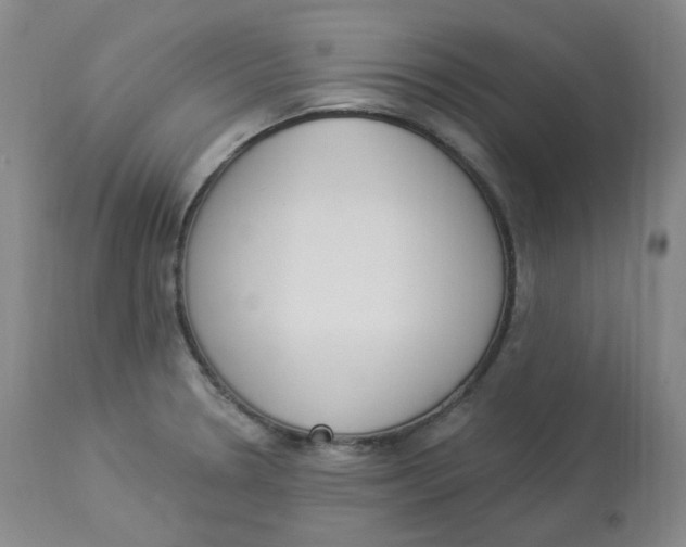 X0000112841330200909111413