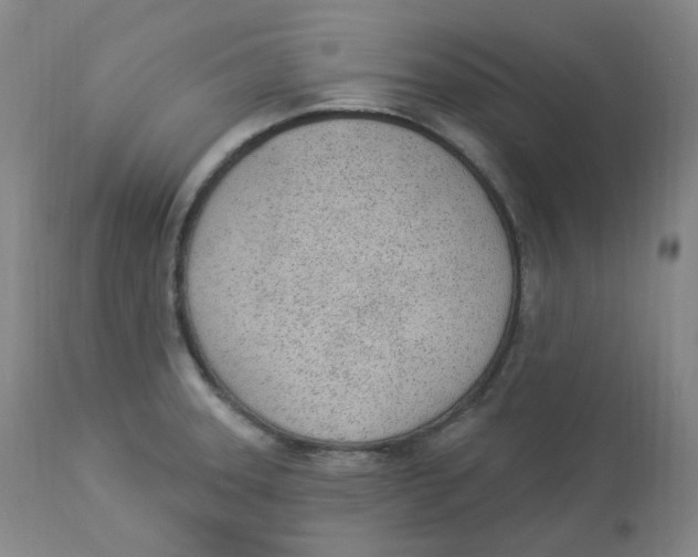 X0000112841331200909111413