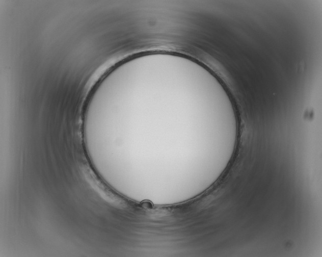 X0000112841332200909111413