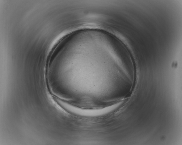 X0000112841334200909111413