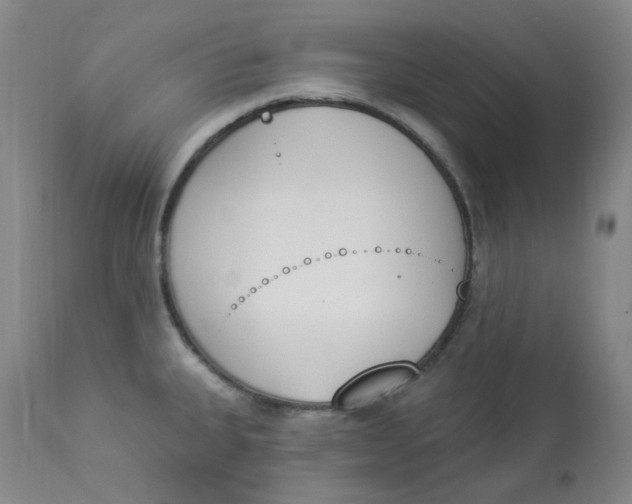 X0000112841335200909111413