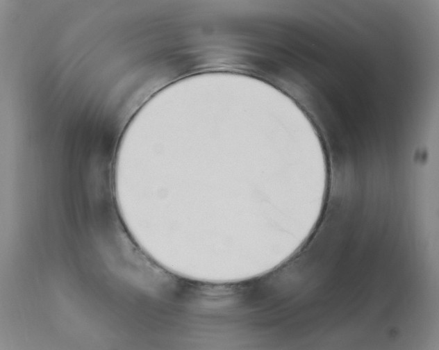 X0000112841338200909111413