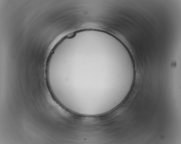 X0000112841339200909111413