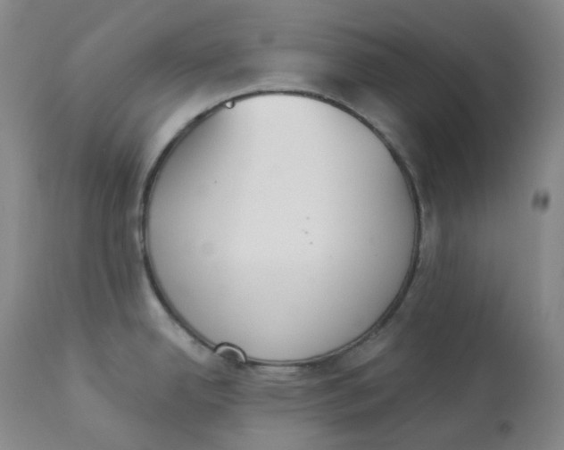 X0000112841342200909111413