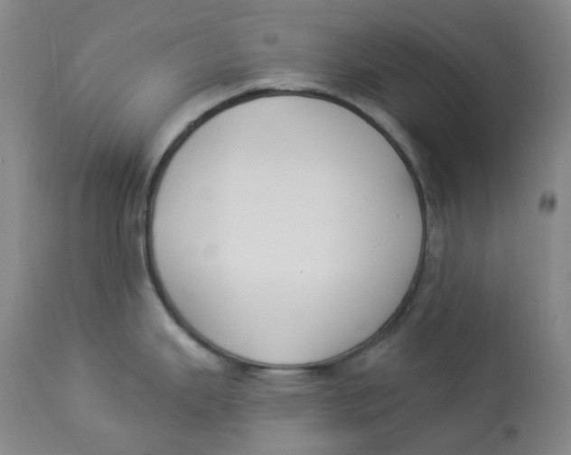 X0000112841343200909111413