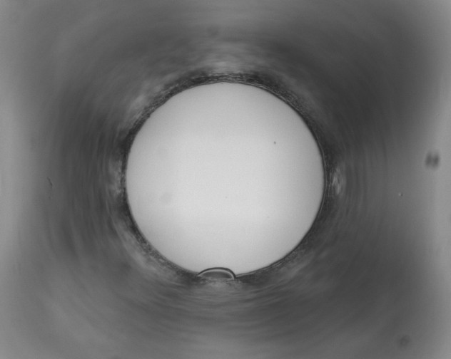 X0000112841348200909111412