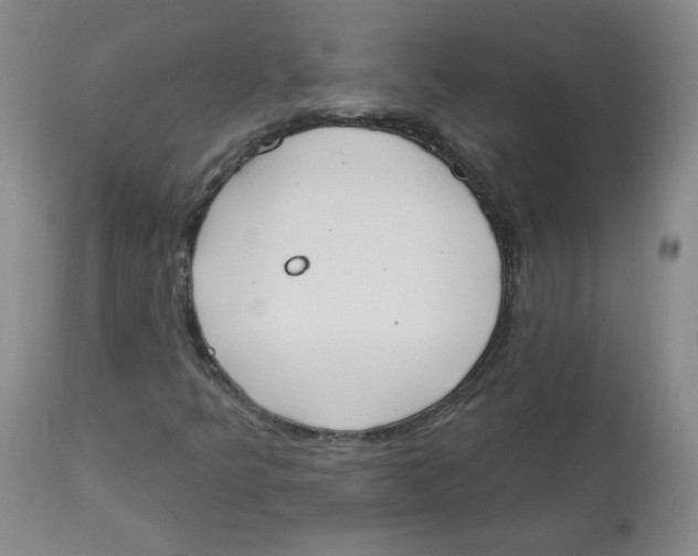 X0000112841349200909111412